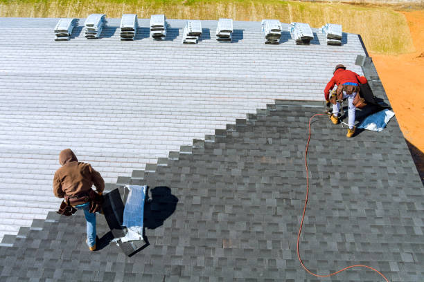 Best Residential Roofing Contractor  in Tolono, IL