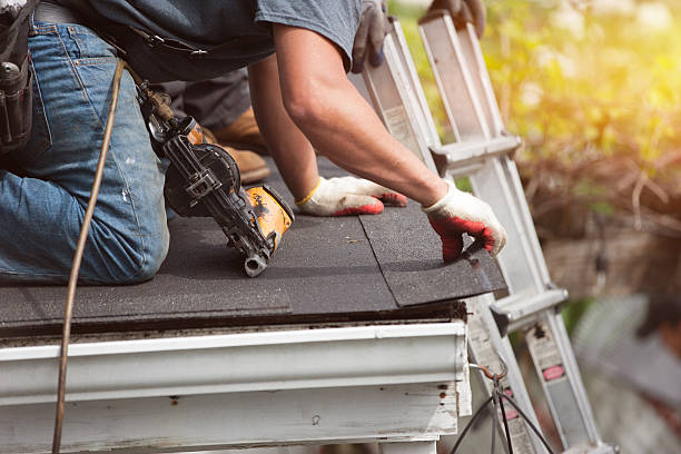 Best Residential Roofing Contractor  in Tolono, IL